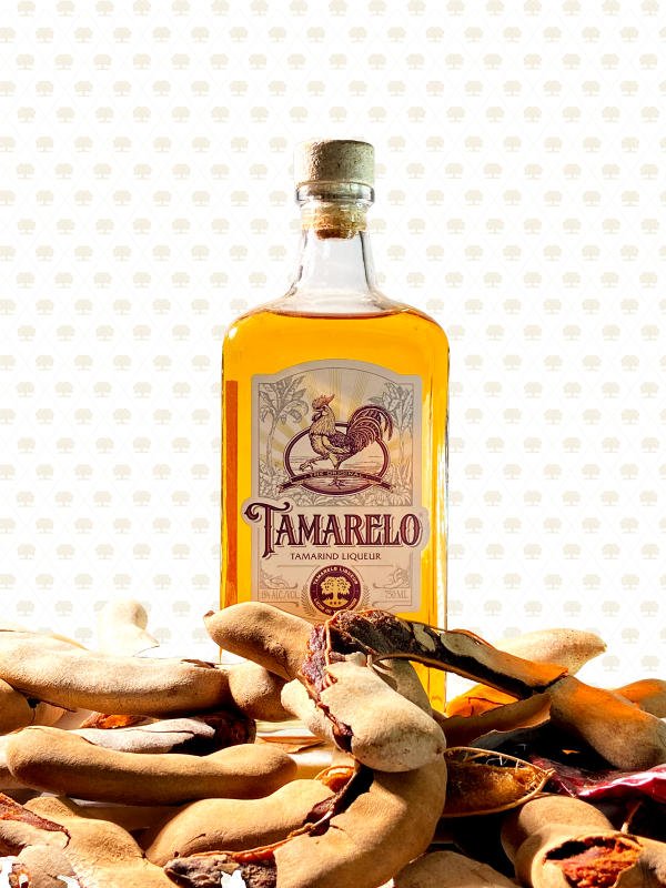 Tamarelo - The First American Made Tamarind Liqueur